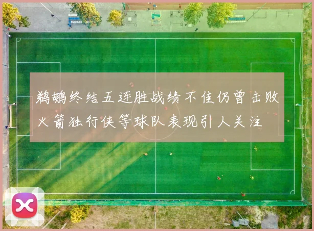 鹈鹕终结五连胜战绩不佳仍曾击败火箭独行侠等球队表现引人关注