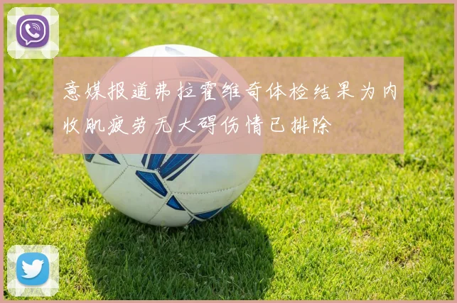 意媒报道弗拉霍维奇体检结果为内收肌疲劳无大碍伤情已排除