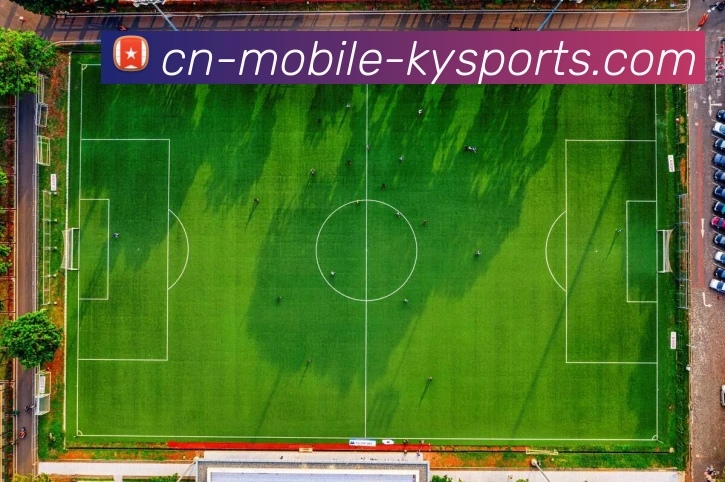 多媒体互动体验