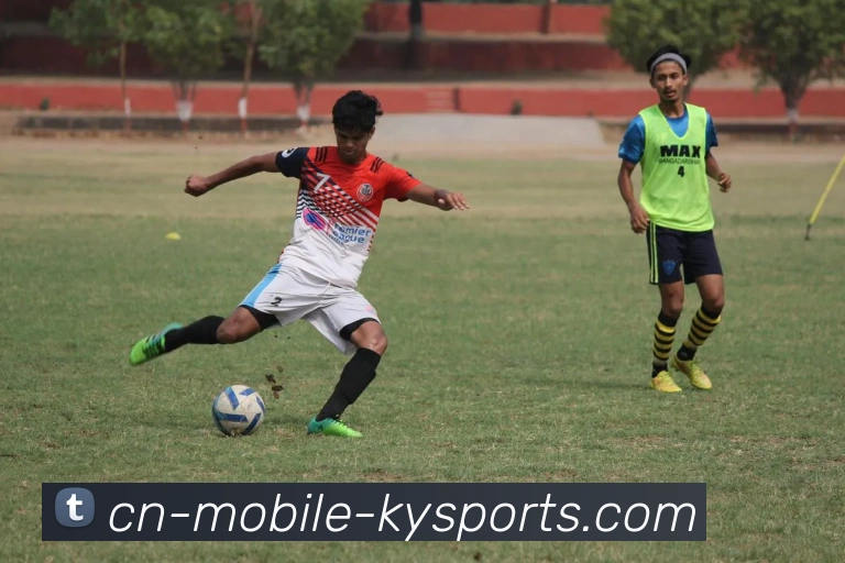 开云体育APP 高清赛事图